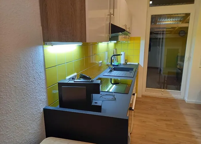 Falkennest-lu Ludwigshafen